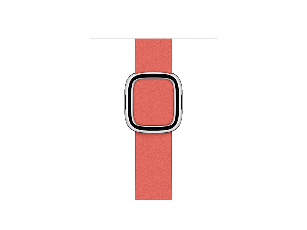 Аксесоар Apple Watch 40mm Band: Pink Citrus Modern Buckle - Small (Seasonal Fall 2020) 2407.jpg