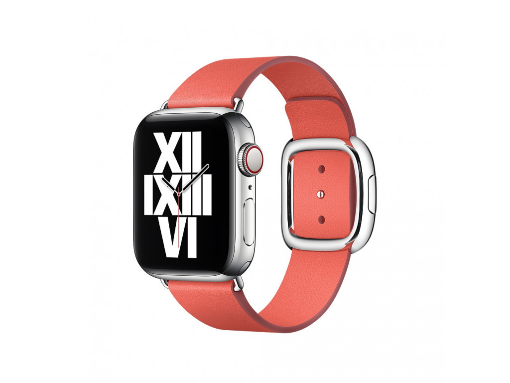 Аксесоар Apple Watch 40mm Band: Pink Citrus Modern Buckle - Small (Seasonal Fall 2020) 2407_1.jpg