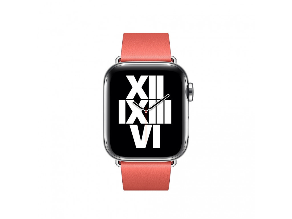 Аксесоар Apple Watch 40mm Band: Pink Citrus Modern Buckle - Small (Seasonal Fall 2020) 2407_14.jpg