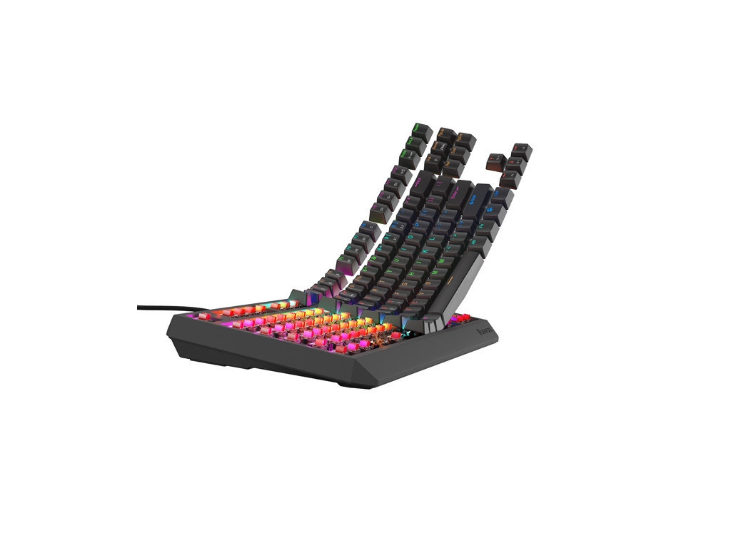 Клавиатура Genesis Gaming Keyboard Thor 230 TKL Lite US Rainbow Mechanical Outemu Red Black Hot Swap 26084_6.jpg