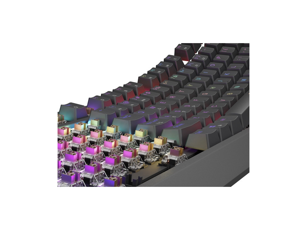 Клавиатура Genesis Gaming Keyboard Thor 230 TKL US RGB Mechanical Outemu Brown Black Hot Swap 26087_5.jpg