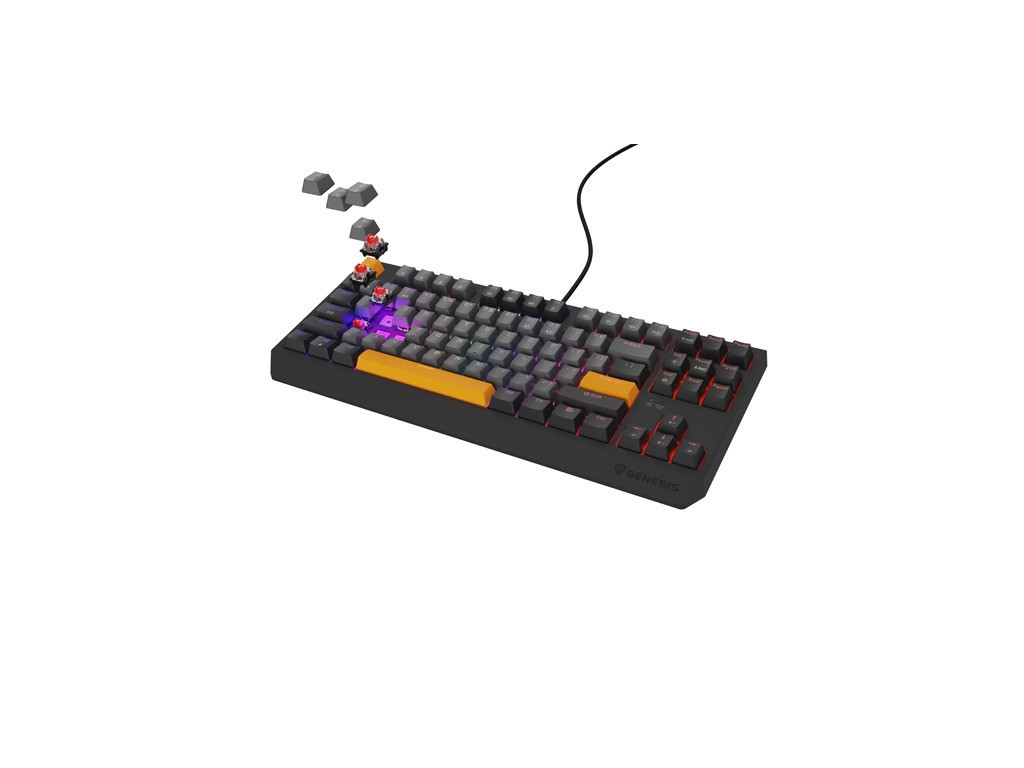 Клавиатура Genesis Gaming Keyboard Thor 230 TKL Anchor Gray Negative US RGB Mechanical Outemu Red 26090_4.jpg