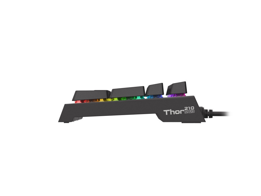 Клавиатура Genesis Hybrid Switch Gaming Keyboard Thor 210 RGB US Layout Backlight 4071_13.jpg
