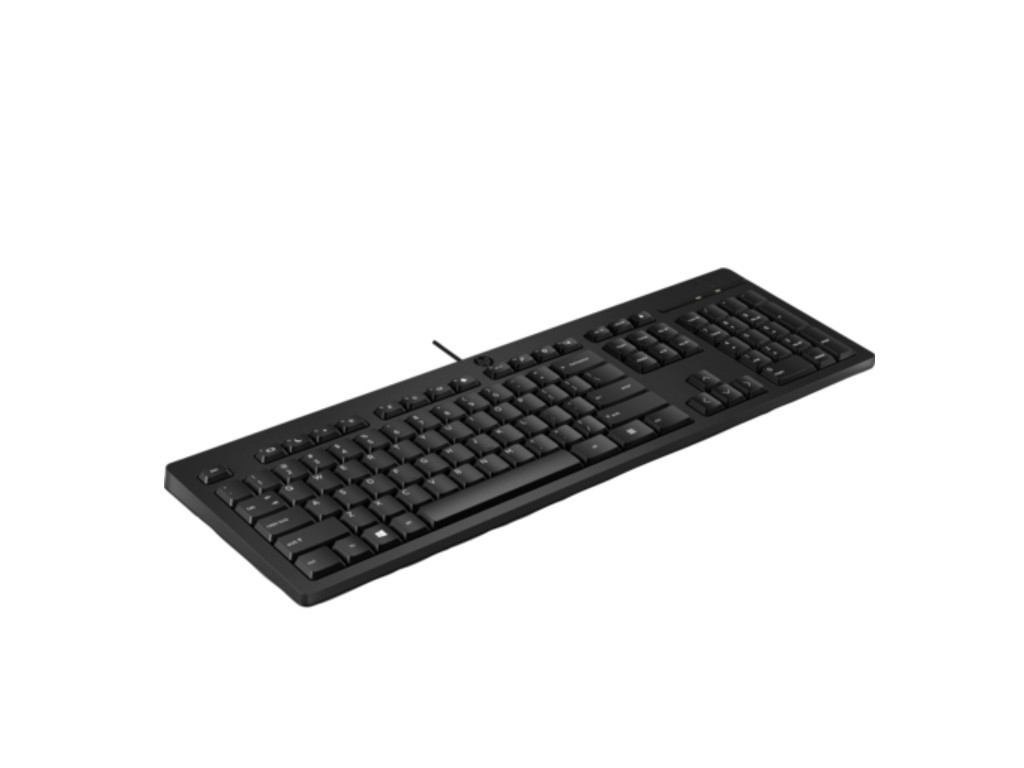 Клавиатура HP 125 Wired Keyboard 19998_2.jpg