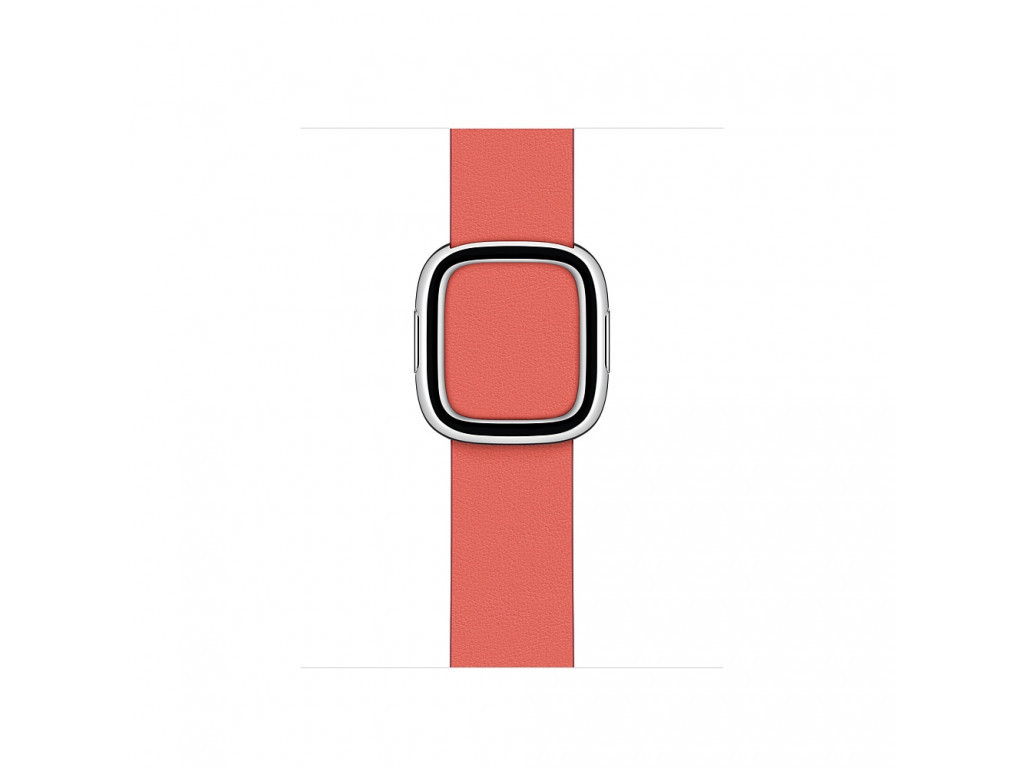 Аксесоар Apple Watch 40mm Band: Pink Citrus Modern Buckle - Medium (Seasonal Fall 2020) 2408_21.jpg