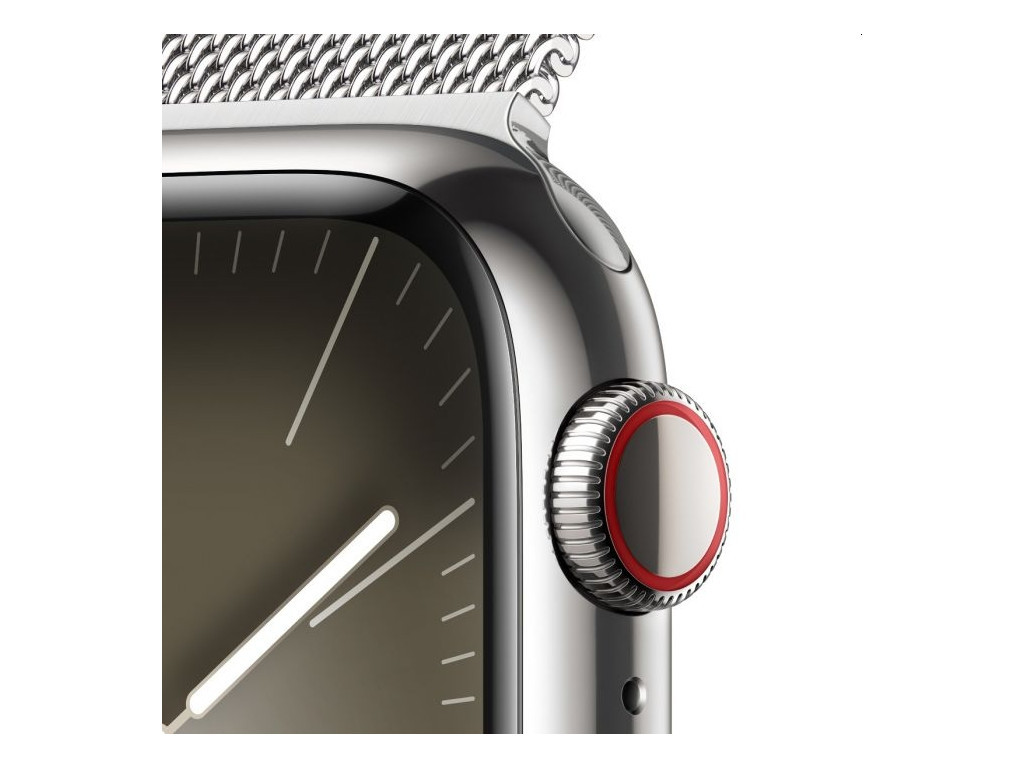 Часовник Apple Watch Series 9 GPS + Cellular 41mm Silver Stainless Steel Case with Silver Milanese Loop 25435_2.jpg