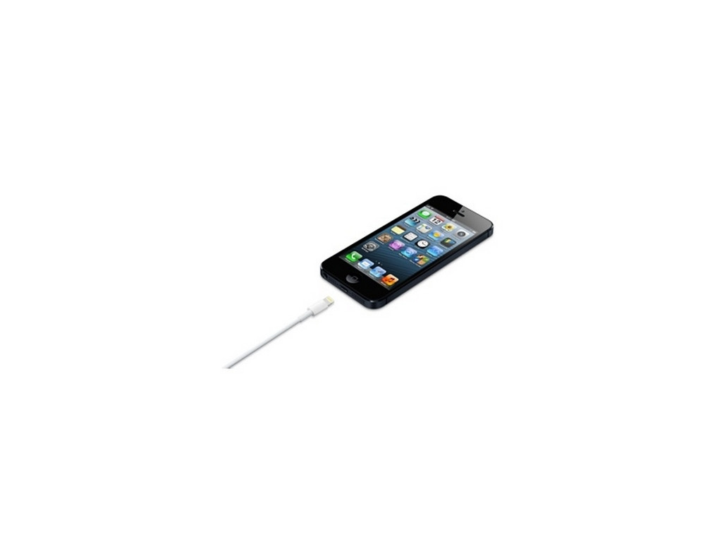 Кабел Apple Lightning to USB cable (0.5m) 6873_3.jpg