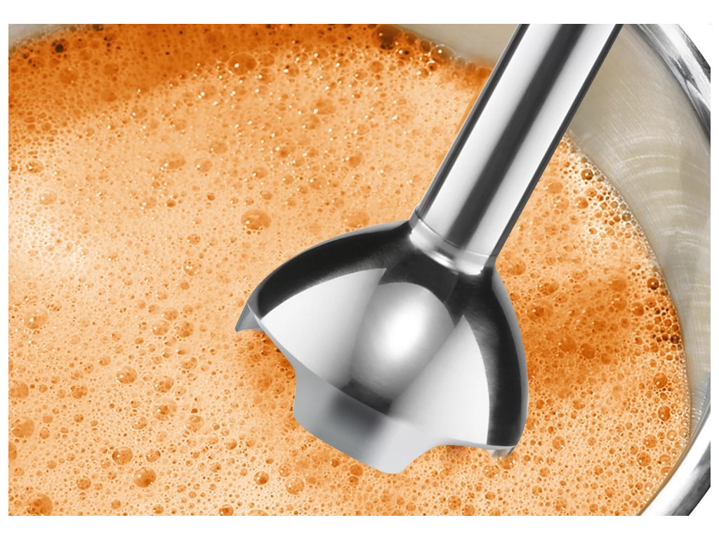 Пасатор Bosch MSM24500 23709_13.jpg