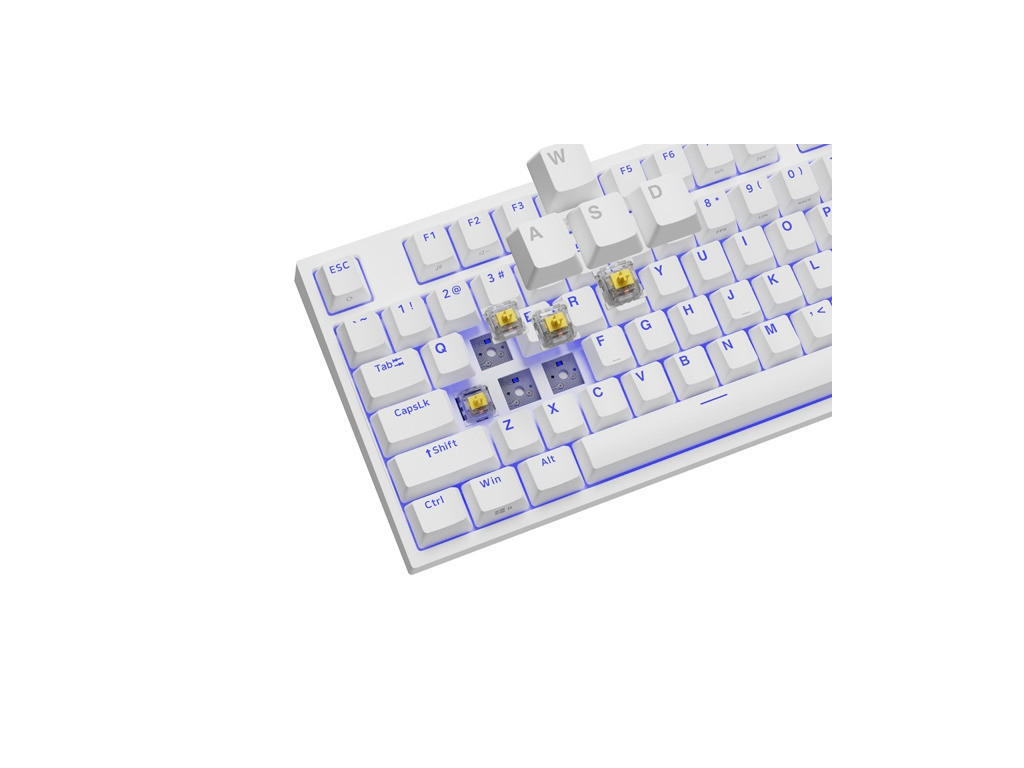 Клавиатура Genesis Gaming Keyboard Thor 404 TKL White RGB Backlight US Layout Yellow Switch 26080_1.jpg