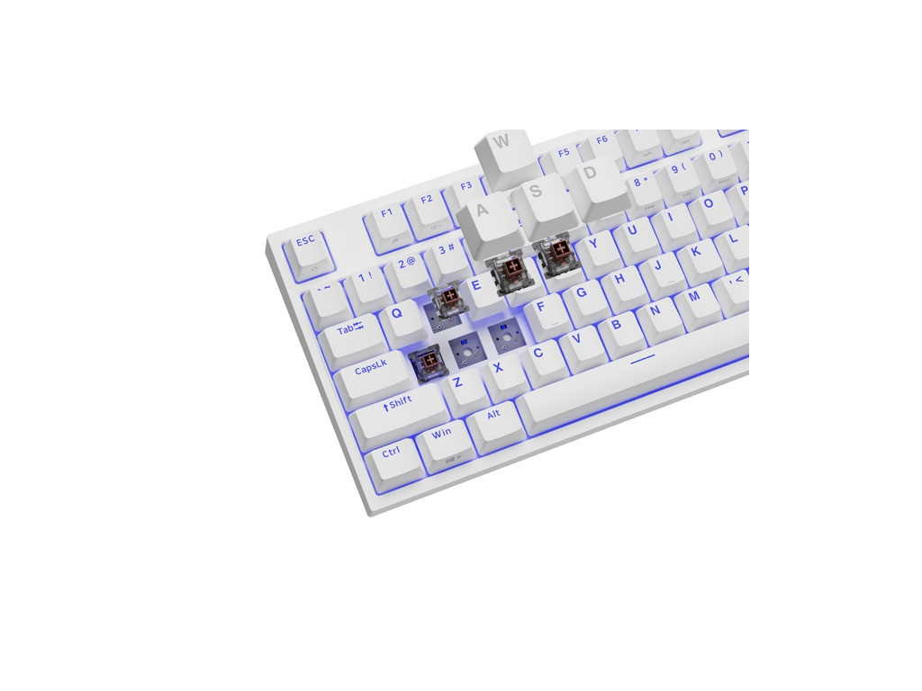 Клавиатура Genesis Gaming Keyboard Thor 404 TKL White RGB Backlight US Layout Brown Switch 26081_1.jpg