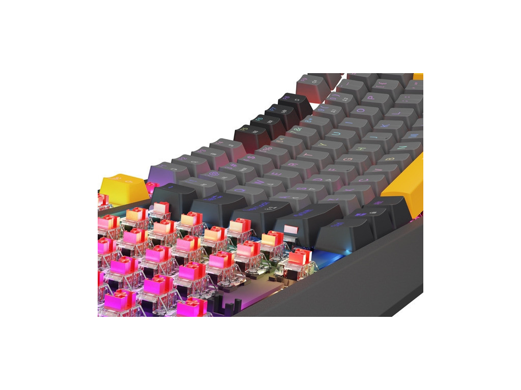 Клавиатура Genesis Gaming Keyboard Thor 230 TKL Anchor Gray Negative US RGB Mechanical Outemu Red 26090_2.jpg