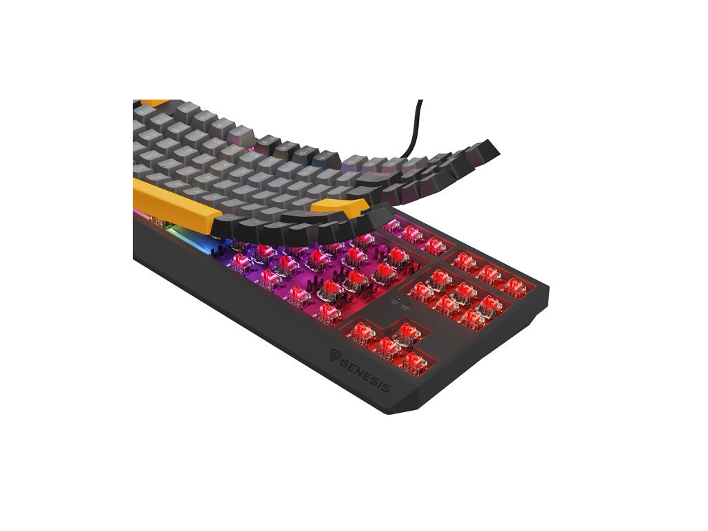 Клавиатура Genesis Gaming Keyboard Thor 230 TKL Anchor Gray Negative US RGB Mechanical Outemu Red 26090_7.jpg