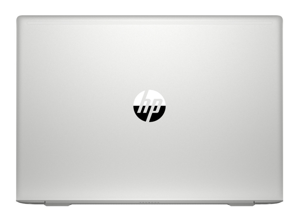 Лаптоп HP ProBook 455 G7 Pike Silver 782_12.jpg