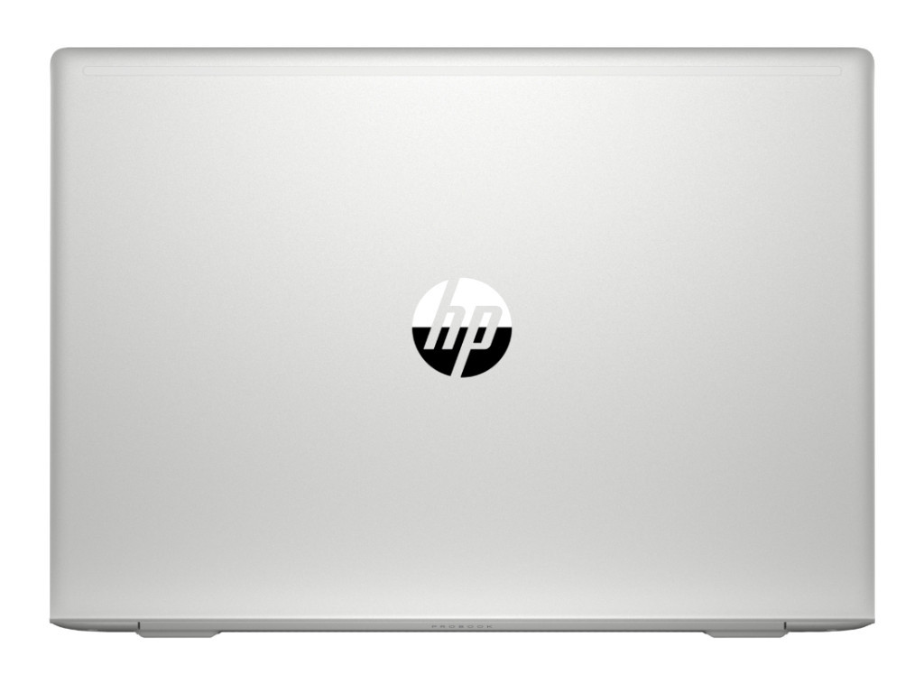 Лаптоп HP ProBook 455 G7 Pike Silver 782_7.jpg