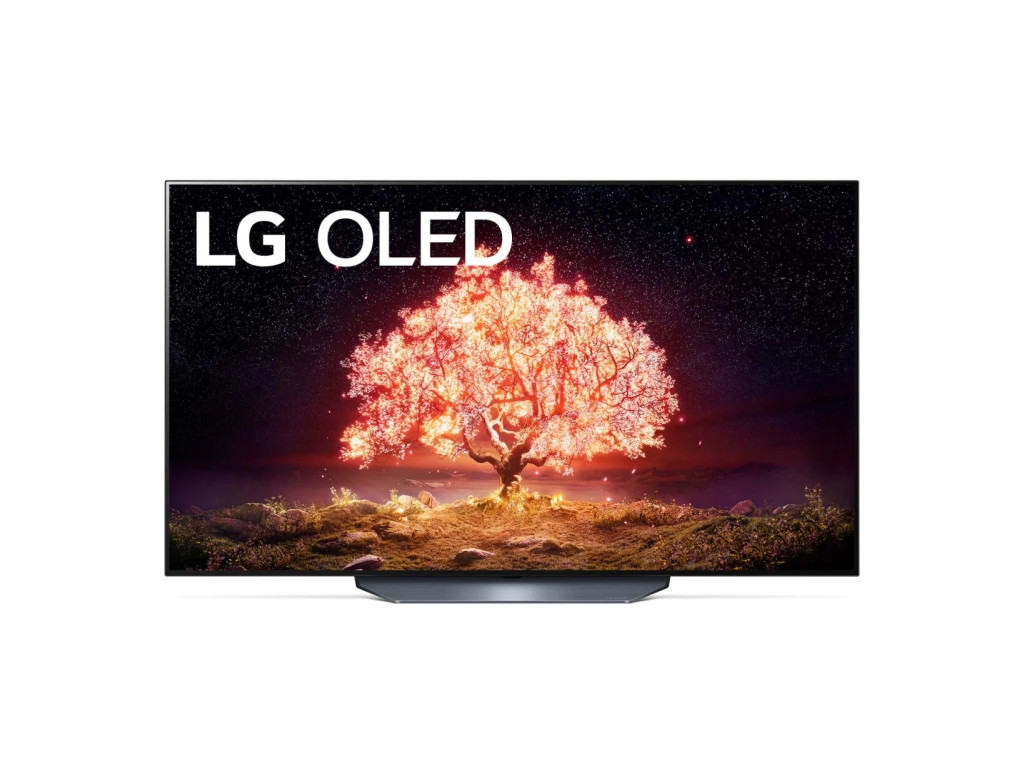 Телевизор LG OLED55B13LA 128.jpg