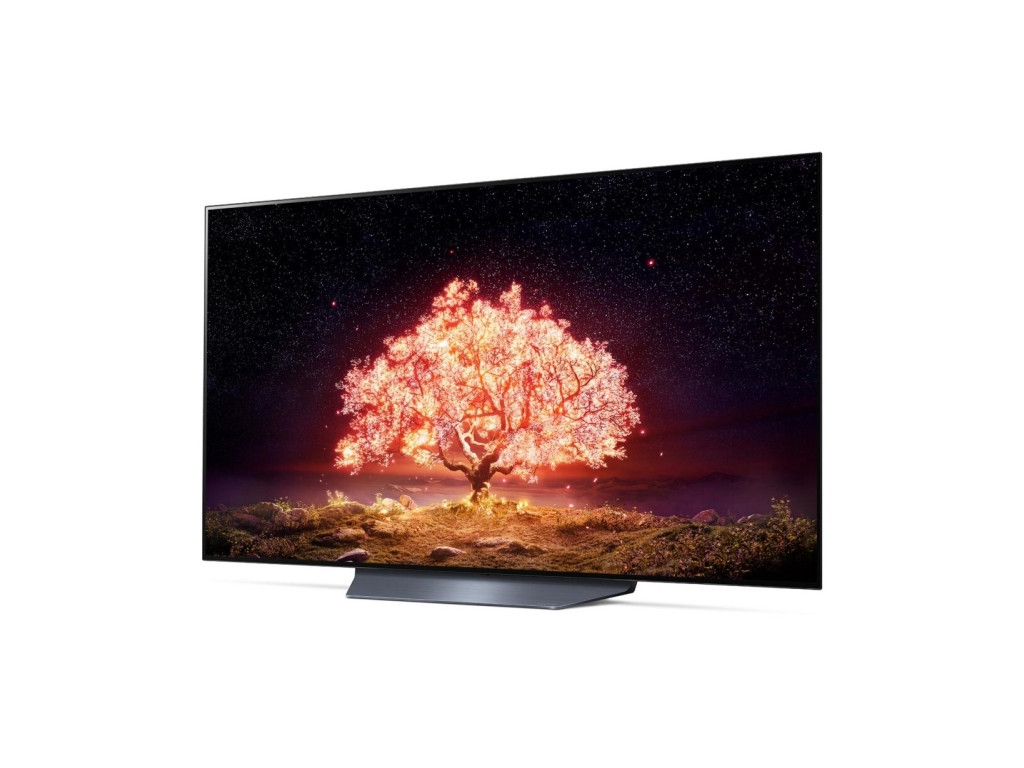 Телевизор LG OLED55B13LA 128_13.jpg