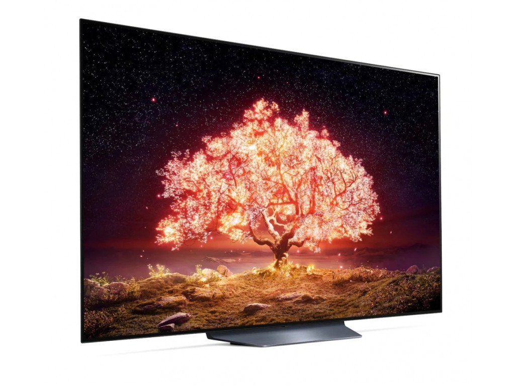 Телевизор LG OLED65B13LA 17389_14.jpg