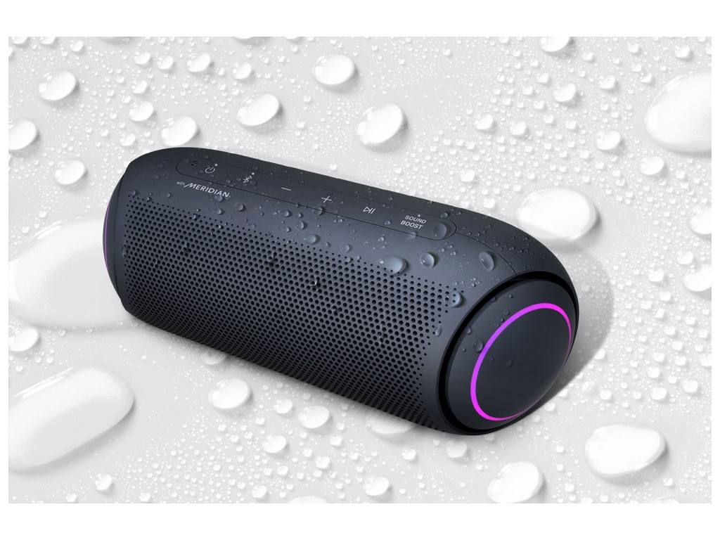 Тонколони LG PL5 2089_8.jpg