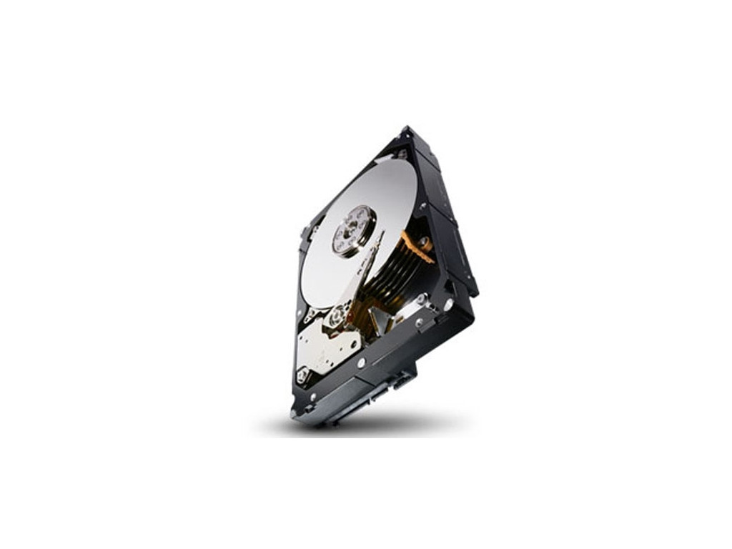 Твърд диск Seagate Constellation ES.3 ST1000NM0023 1 TB 3.5" Internal Hard Drive 15493_3.jpg