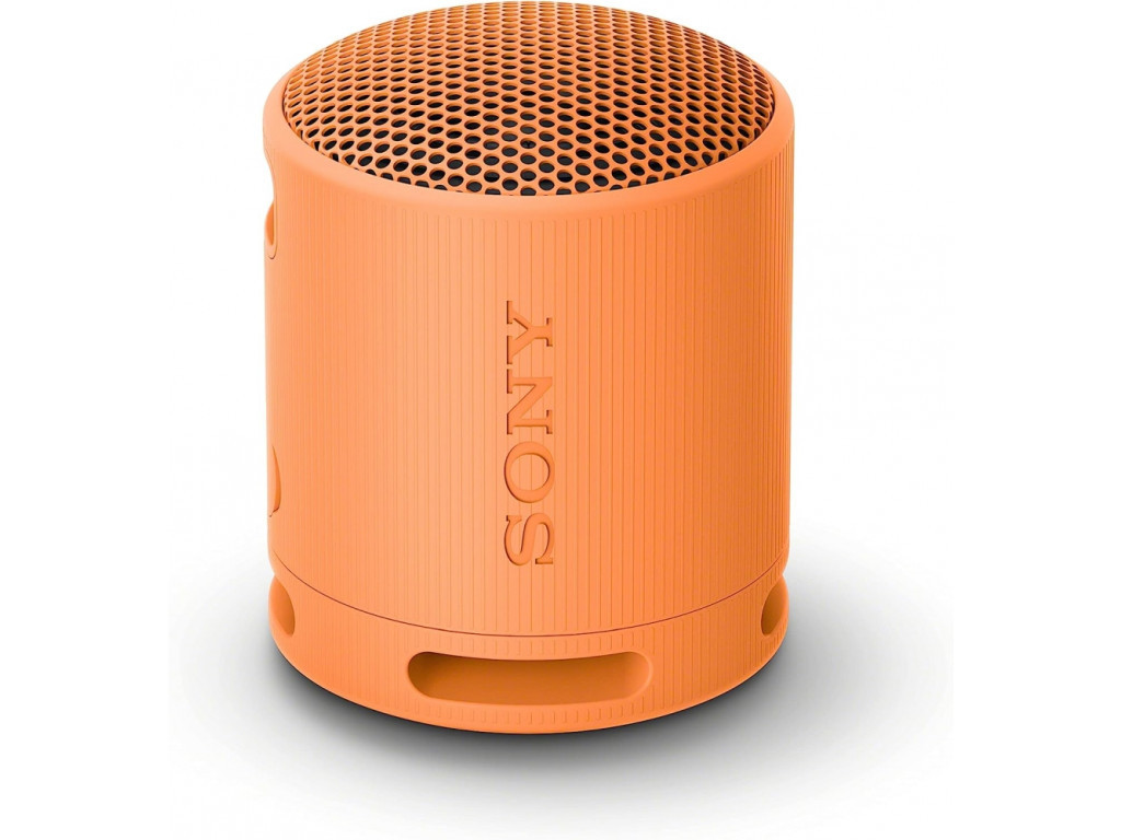 Тонколони Sony SRS-XB100 Portable Bluetooth Speaker 25308.jpg