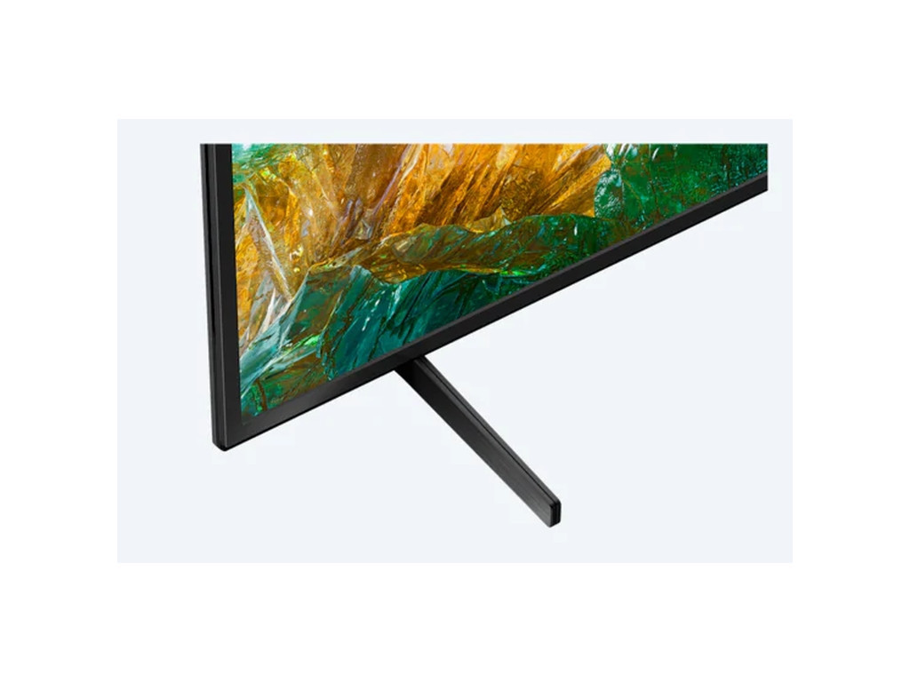 Телевизор Sony KD-49XH8096 49'' 4K HDR TV BRAVIA 256_10.jpg