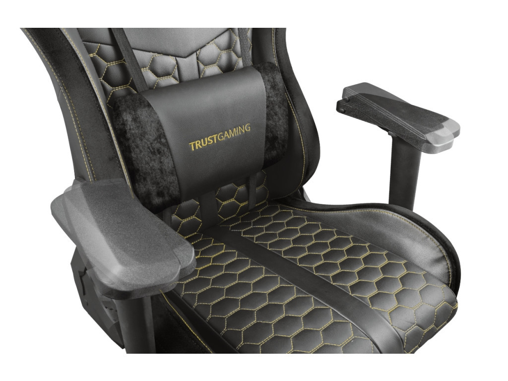 Стол TRUST GXT 712 Resto Pro Gaming Chair 16939_28.jpg